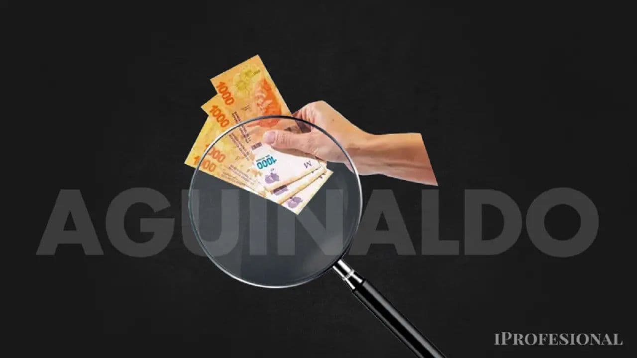Aguinaldo: Dolarización y Diversificación, Claves para la Inversión en un Escenario Volátil Argentino