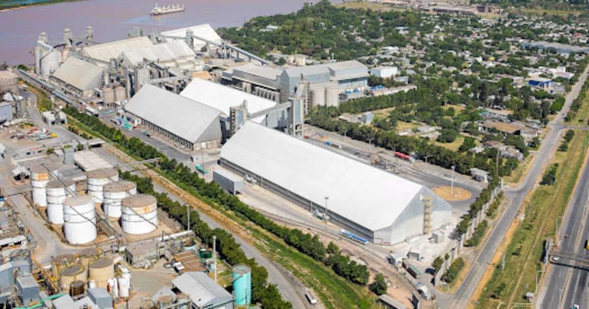 Molinos Agro y ACA Impulsan Megaproyecto de Soja: US$500 Millones para Fortalecer el Polo Agroexportador Argentino
