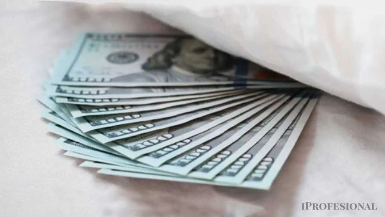 La Dolarización Silente: Un Gigantesco Ahorro Externo Pone a Prueba la Estabilidad Macroeconómica Argentina