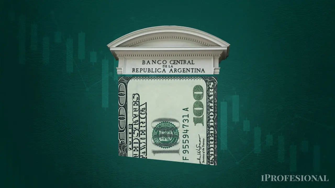 La Estrategia de Reservas de Argentina Bajo el Escudo del Agro y Vaca Muerta, Amenazada por la Geopolítica