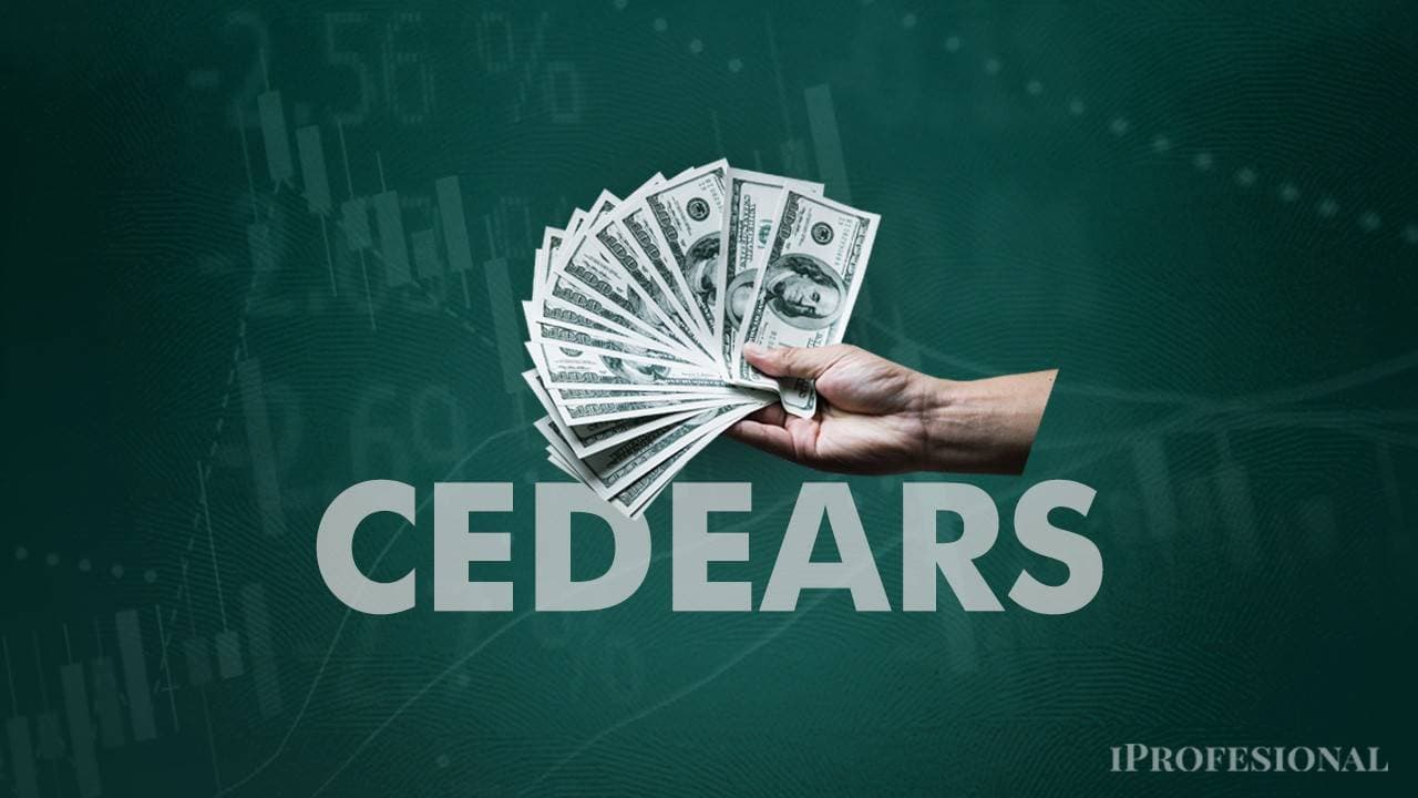 Dividendos en Dólares: La Atracción y las Realidades para Inversores en CEDEARs