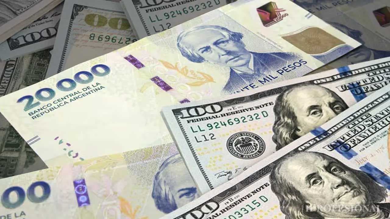El Peso Argentino: Entre la Depreciación Anual y la Búsqueda de Cobertura en un Contexto de Desafíos