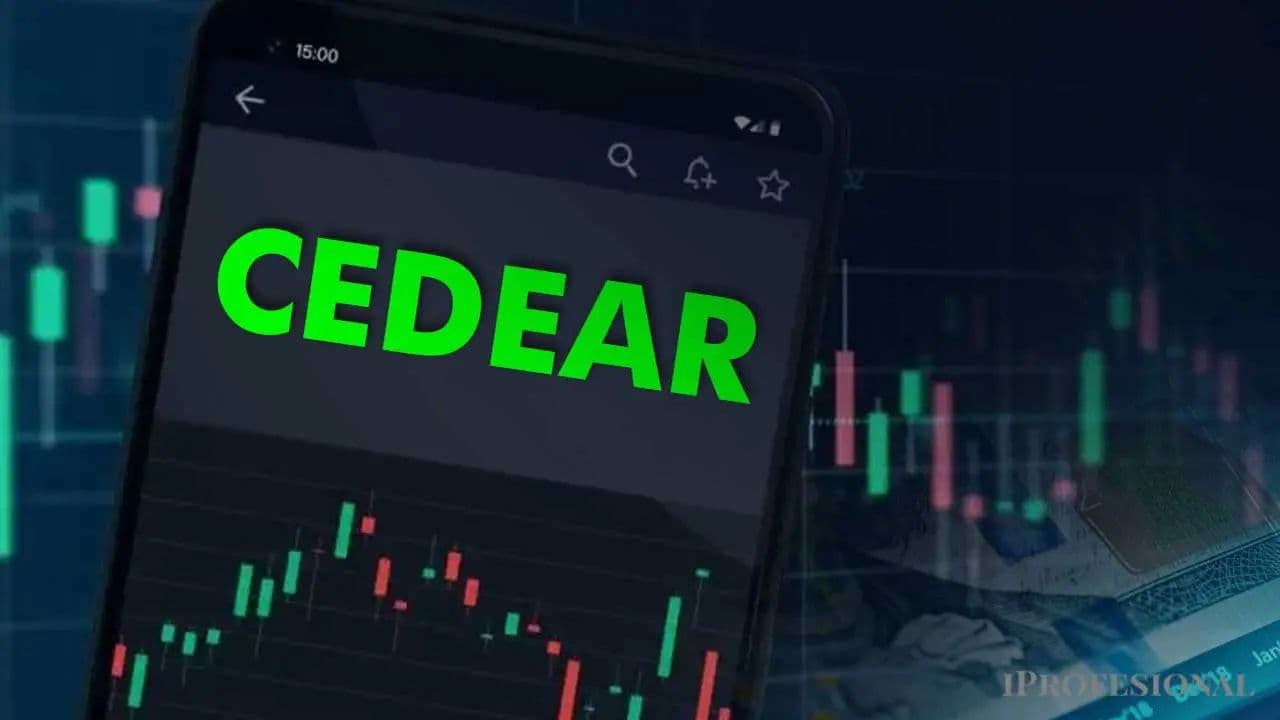 Calendario de Dividendos de Agosto: Estrategias y Consideraciones para el Inversor Global y Local