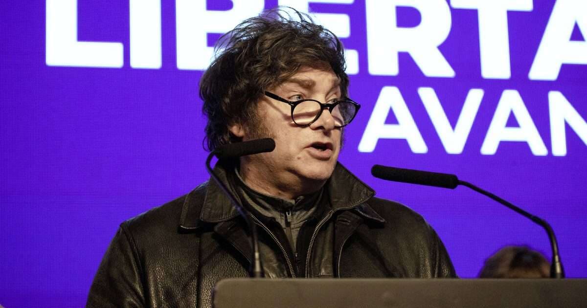 El Desgaste Digital de Milei: ¿Un Riesgo Emergente para la Estabilidad Macroeconómica Argentina?
