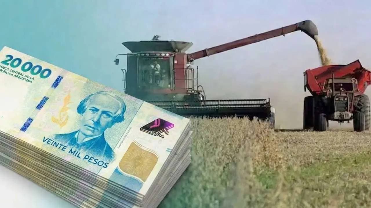 Zafra S.A. al borde del abismo: El default de sus ONs revela una crisis profunda en el agro argentino