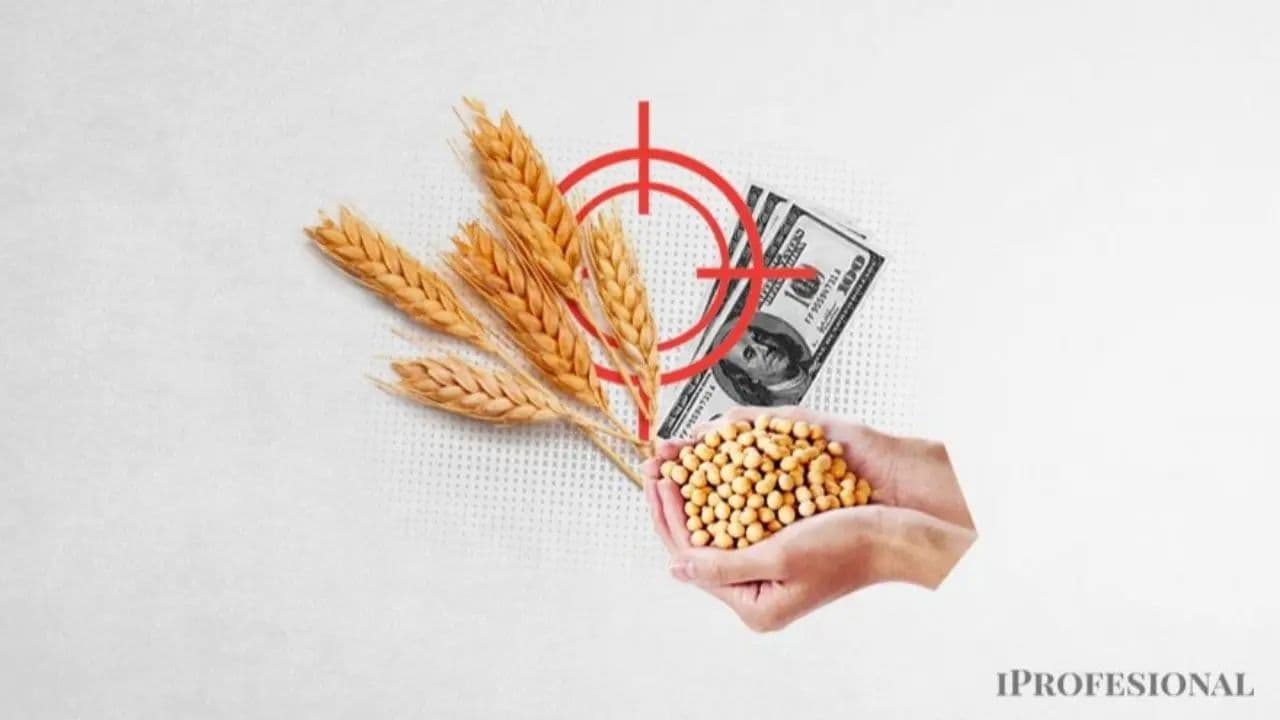 ADBlick Granos: La Apuesta del Agro Argentino que Promete Rendimientos en Dólares con Riesgos a Considerar