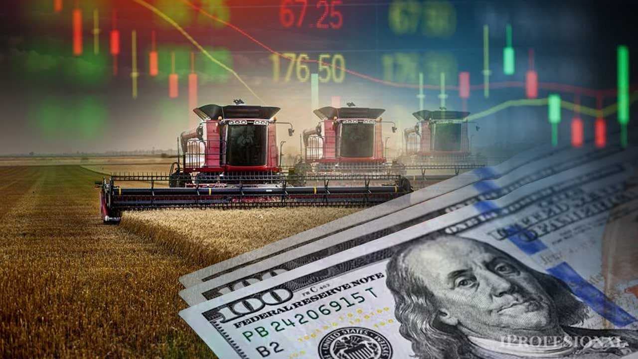 El Enigma de las Divisas: ¿Quién Absorbe los Dólares del Agro en Argentina?