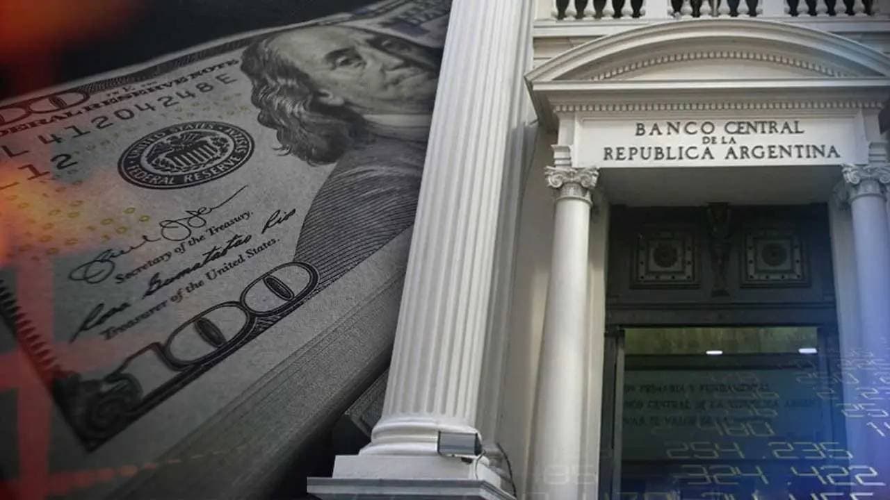 La Dualidad Cambiaria de Argentina: Intervenciones del Banco Central Bajo el Escrutinio del Mercado y el FMI